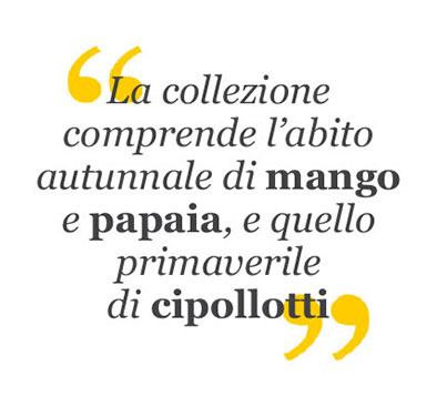 la collezione citazione